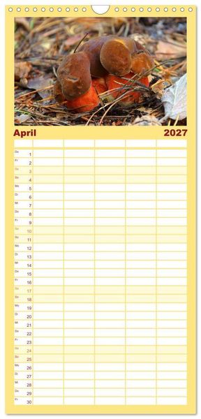 Produktbild: Familienplaner 2027 - Heimische Pilze mit 5 Spalten (Wandkalender, 21 x 45 cm) CALVENDO