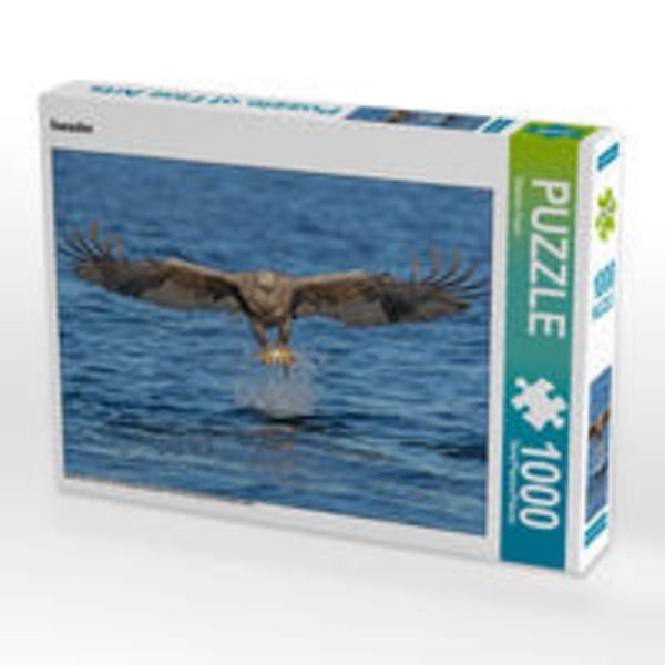CALVENDO Puzzle Seeadler | 1000 Teile Lege-Größe 64x48cm Foto-Puzzle für glückliche Stunden
