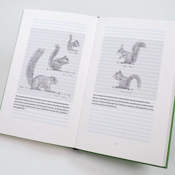 Produktbild: Das Leben der Eichh&ouml;rnchen