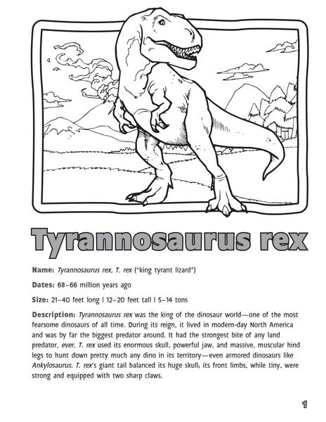 Produktbild: Practice Writing with Dinosaurs!
