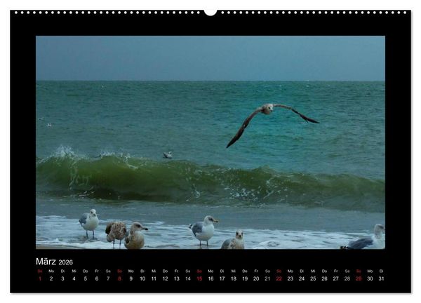 Produktbild: An der Nordsee (hochwertiger Premium Wandkalender 2026 DIN A2 quer), Kunstdruck in Hochglanz