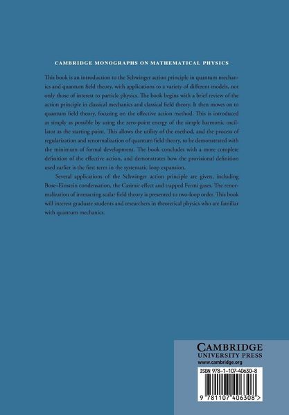 Produktbild: The Schwinger Action Principle and Effective Action