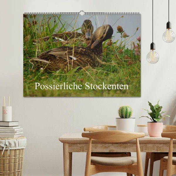 Produktbild: Possierliche Stockenten (Wandkalender 2026 DIN A2 quer), CALVENDO Monatskalender