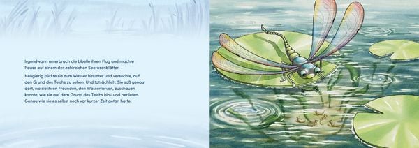 Produktbild: Von Larven und Libellen. Bilderbuch