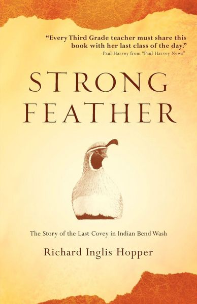 Produktbild: Strong Feather