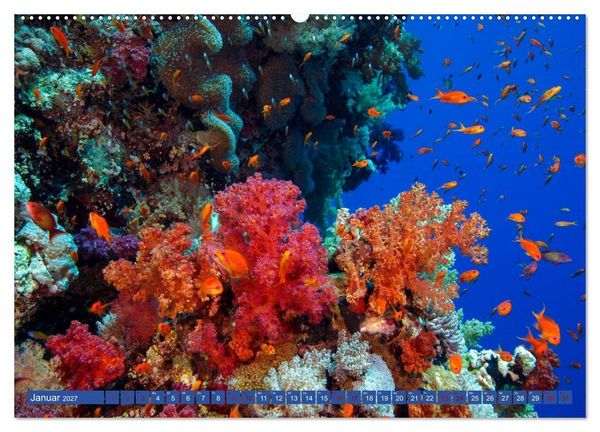 Produktbild: Farbenfrohes Meer (hochwertiger Premium Wandkalender 2027 DIN A2 quer), Kunstdruck in Hochglanz