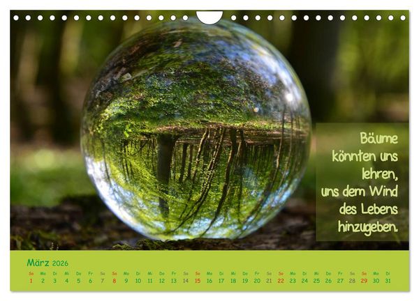 Produktbild: Wunderbare Waldkugeln (Wandkalender 2026 DIN A4 quer), CALVENDO Monatskalender