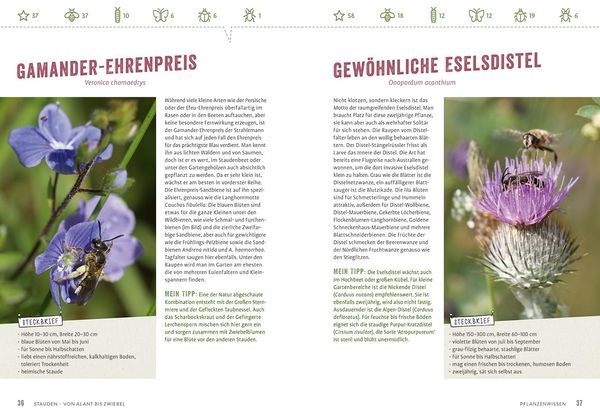 Produktbild: Richtig gute Pflanzen f&uuml;r Insekten
