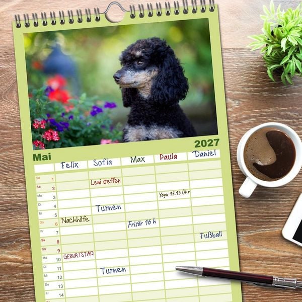 Produktbild: Familienplaner 2027 - Pudel mit 5 Spalten (Wandkalender, 21 x 45 cm) CALVENDO