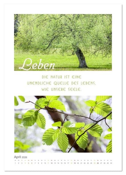 Produktbild: Quellen der Inspiration (Tischkalender 2026 DIN A5 hoch), CALVENDO Monatskalender