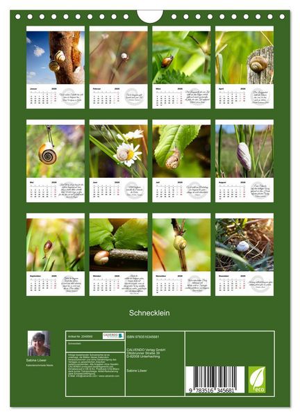 Produktbild: Schnecklein (Wandkalender 2026 DIN A4 hoch), CALVENDO Monatskalender