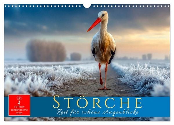 Störche - Zeit für schöne Augenblicke (Wandkalender 2026 DIN A3 quer), CALVENDO Monatskalender