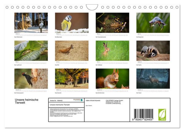 Produktbild: Unsere heimische Tierwelt (Wandkalender 2026 DIN A4 quer), CALVENDO Monatskalender