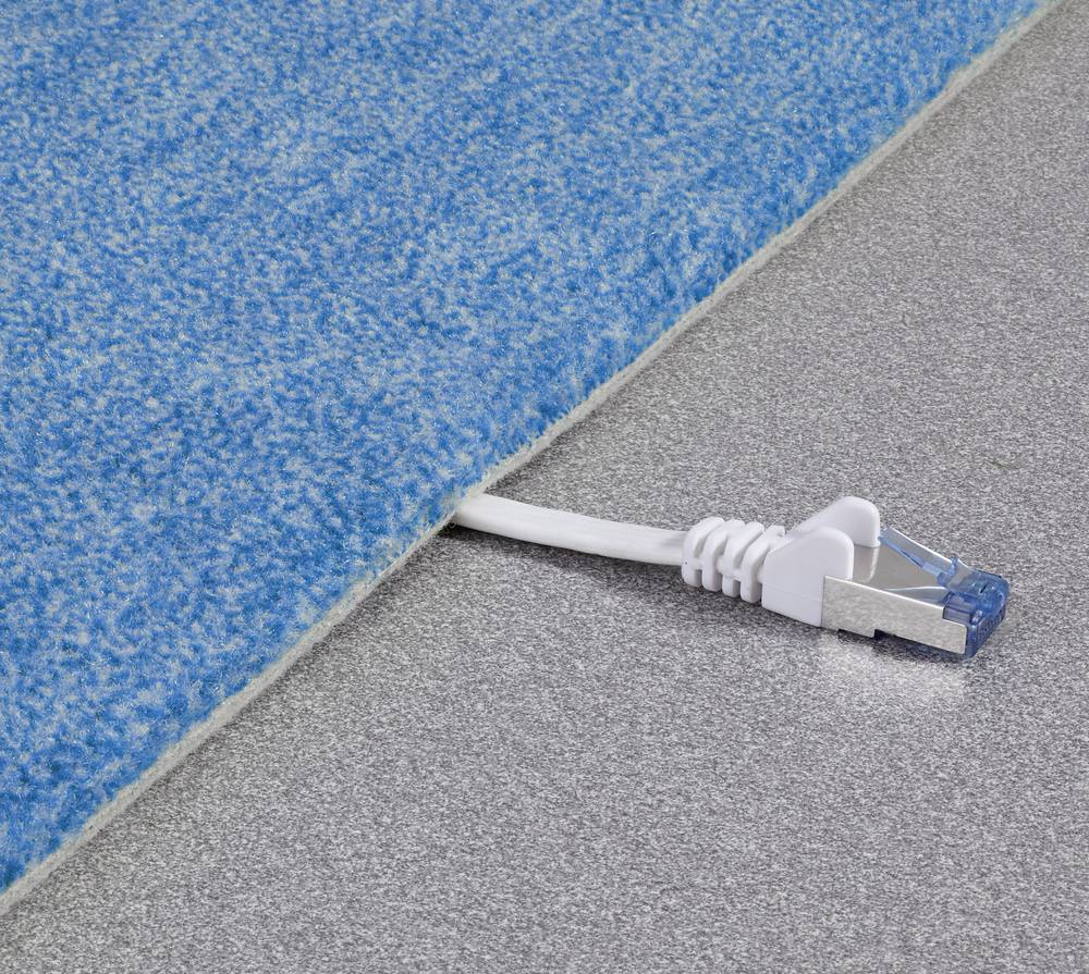Produktbild: Renkforce RF-4149834 RJ45 Patchkabel CAT 6a U/FTP 0.25 m Grau hochflexibel, mit Rastnasenschutz, Flammwidrig 1 St.