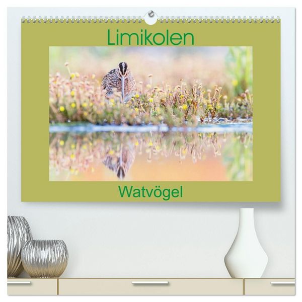 Produktbild: Limikolen - Watv&ouml;gel aus Europa (hochwertiger Premium Wandkalender 2027 DIN A2 quer), Kunstdruck in Hochglanz
