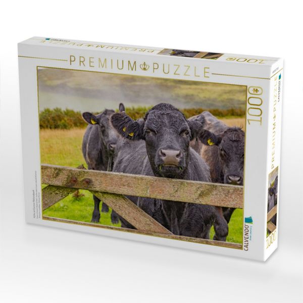 Produktbild: CALVENDO Puzzle K&uuml;he im Exmoor Nationalpark | 1000 Teile Lege-Gr&ouml;&szlig;e 64x48cm Foto-Puzzle f&uuml;r gl&uuml;ckliche Stunden