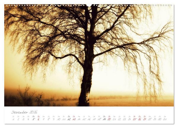 Produktbild: Teufelsmoor Impressionen (Wandkalender 2026 DIN A2 quer), CALVENDO Monatskalender