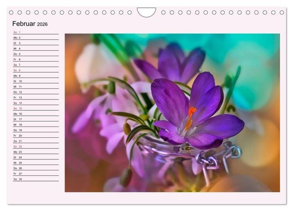 Produktbild: Lila - die mystische Farbe (Wandkalender 2026 DIN A4 quer), CALVENDO Monatskalender