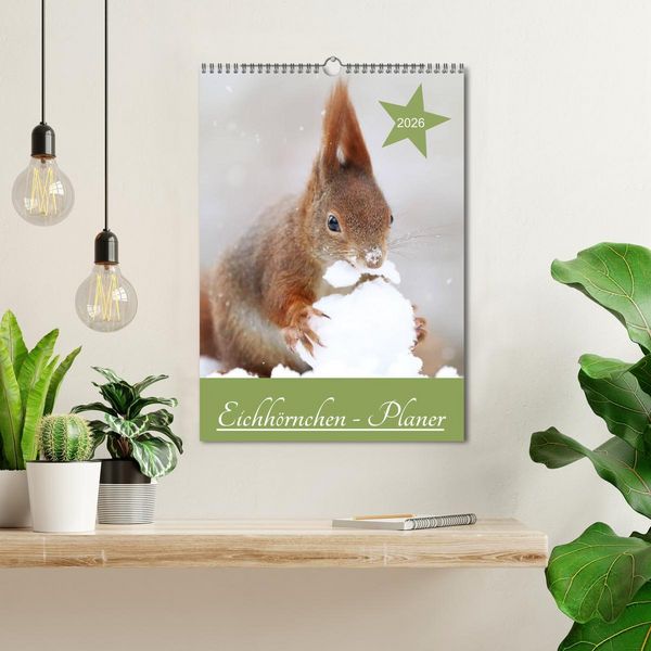 Produktbild: Eichh&ouml;rnchen - Planer (Wandkalender 2026 DIN A3 hoch), CALVENDO Monatskalender