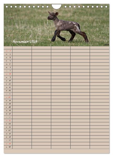 Produktbild: Der bel&auml;mmerte Familienplaner (Wandkalender 2026 DIN A4 hoch), CALVENDO Monatskalender