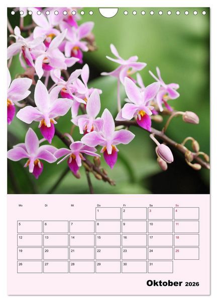 Produktbild: Orchideenliebe (Wandkalender 2026 DIN A4 hoch), CALVENDO Monatskalender