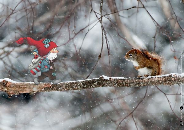 Produktbild: Winter im Wichtelwald. Kamishibai Bildkartenset
