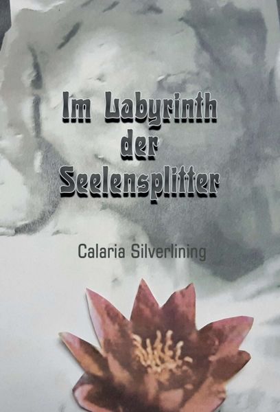 Produktbild: Im Labyrinth der Seelensplitter