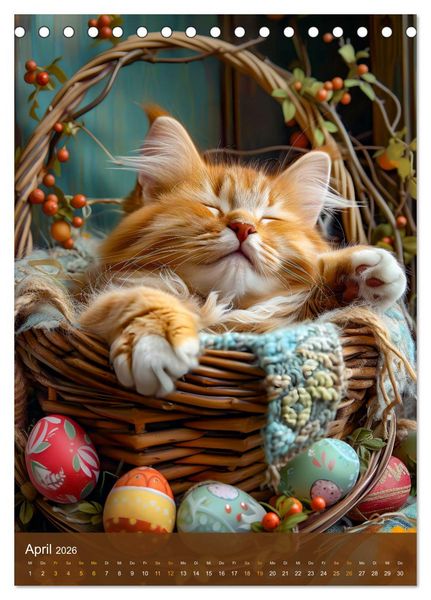 Produktbild: Kuschelkatzen - Fellnasen im Schlummerland (Tischkalender 2026 DIN A5 hoch), CALVENDO Monatskalender