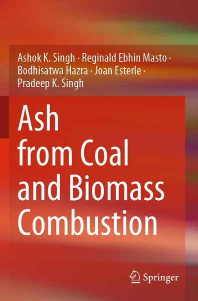 Produktbild: Ash from Coal and Biomass Combustion