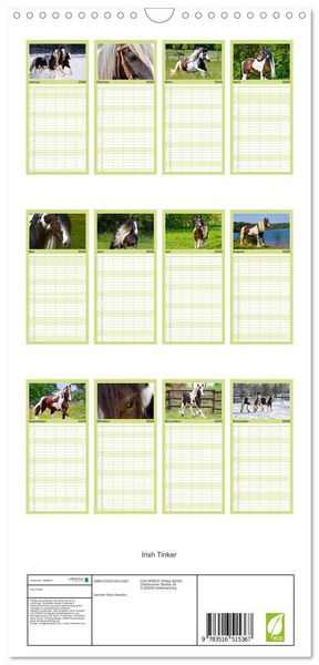 Produktbild: Familienplaner 2026 - Irish Tinker mit 5 Spalten (Wandkalender, 21 x 45 cm) CALVENDO