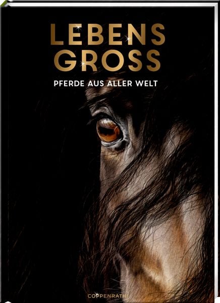 Produktbild: Lebensgro&szlig; - Pferde aus aller Welt