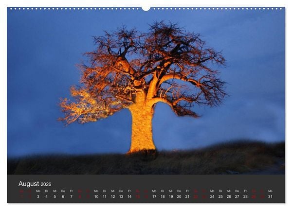 Produktbild: S&uuml;dafrika - Einzigartige Natursch&ouml;nheit (hochwertiger Premium Wandkalender 2026 DIN A2 quer), Kunstdruck in Hochglanz