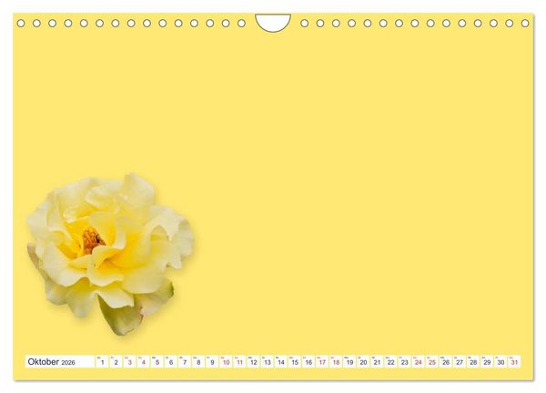Produktbild: DIY POESIE - BASTELKALENDER (Wandkalender 2026 DIN A4 quer), CALVENDO Monatskalender