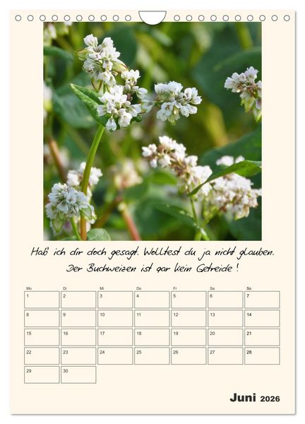 Produktbild: Gartengeschichten (Wandkalender 2026 DIN A4 hoch), CALVENDO Monatskalender