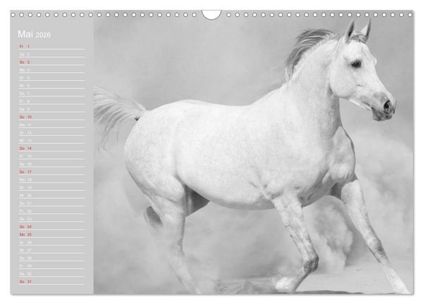 Produktbild: Arabische Pferde (Wandkalender 2026 DIN A3 quer), CALVENDO Monatskalender