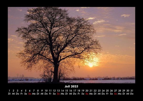Produktbild: B&auml;ume 2025 Fotokalender DIN A3