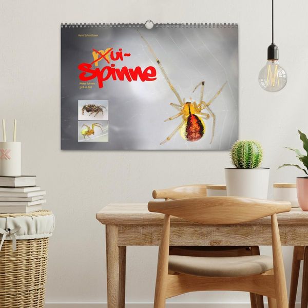 Produktbild: ui - Spinne. Kleine Spinnen - gro&szlig; im Bild (Wandkalender 2026 DIN A3 quer), CALVENDO Monatskalender