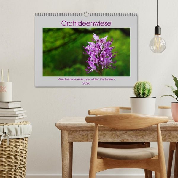 Produktbild: Orchideenwiese 2026 (Wandkalender 2026 DIN A3 quer), CALVENDO Monatskalender