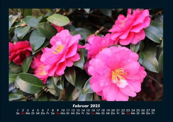 Produktbild: Blumenzauber 2025 Fotokalender DIN A4