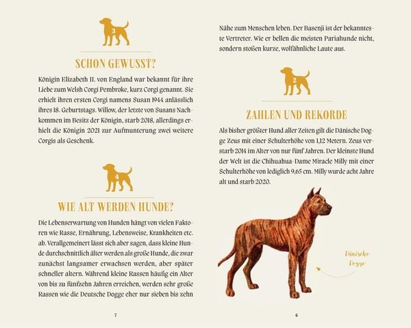 Produktbild: Hunde