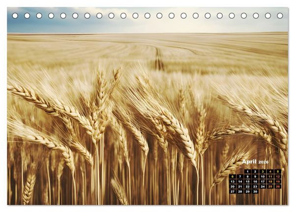Produktbild: Von oben betrachtet Landschaften aus der Vogelperspektive (Tischkalender 2026 DIN A5 quer), CALVENDO Monatskalender