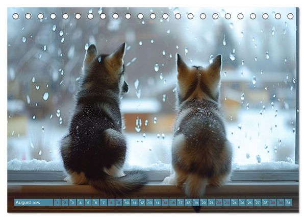 Produktbild: Schlittenhund Tr&auml;ume (Tischkalender 2026 DIN A5 quer), CALVENDO Monatskalender