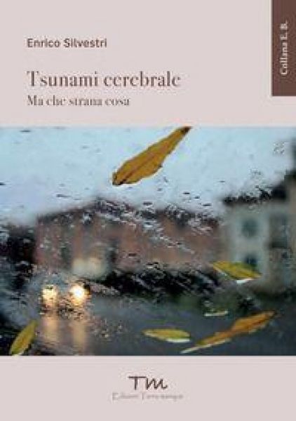 Produktbild: Tsunami cerebrale. Ma che strana cosa