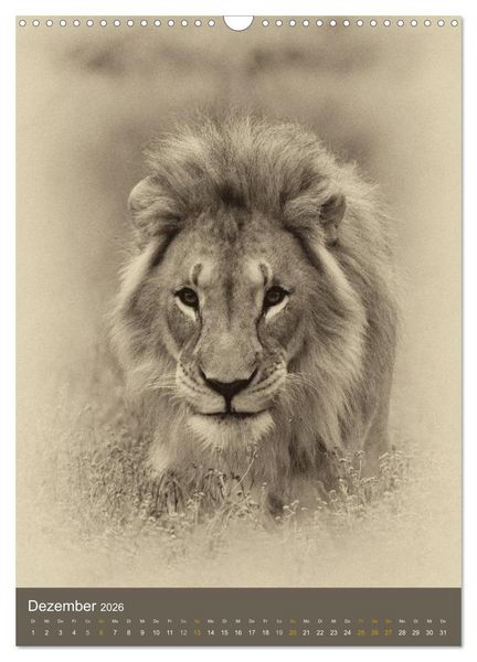 Produktbild: Afrikas Tierwelt - Sepia-Art (Wandkalender 2026 DIN A3 hoch), CALVENDO Monatskalender