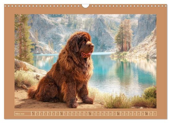 Produktbild: Neufundl&auml;nder. Imposante Riesen mit sanfter Seele (Wandkalender 2026 DIN A3 quer), CALVENDO Monatskalender