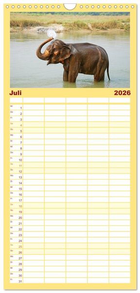 Produktbild: Familienplaner 2026 - Elefanten. Badespa&szlig; am Strand mit 5 Spalten (Wandkalender, 21 x 45 cm) CALVENDO