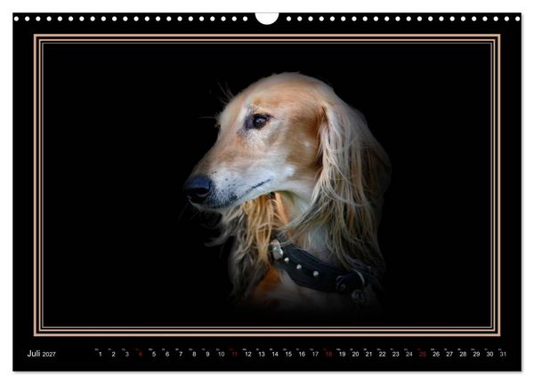 Produktbild: Saluki 2027 (Wandkalender 2027 DIN A3 quer), CALVENDO Monatskalender