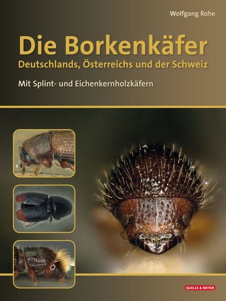 Produktbild: Die Borkenk&auml;fer Deutschlands, &Ouml;sterreichs und der Schweiz