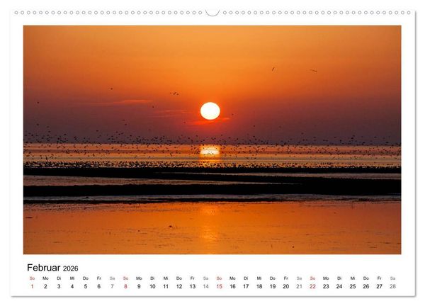 Produktbild: Ostfriesland - Tour (Wandkalender 2026 DIN A2 quer), CALVENDO Monatskalender