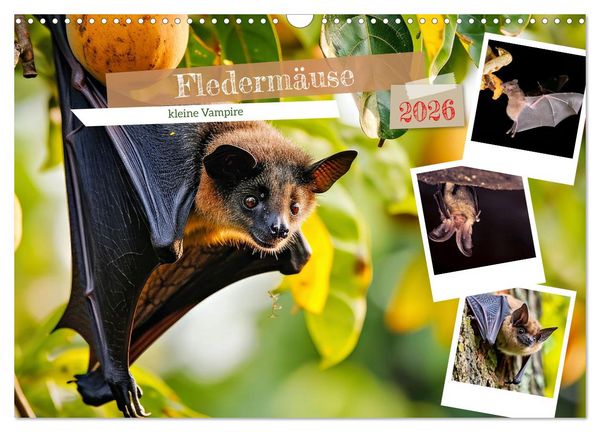 Produktbild: Flederm&auml;use - kleine Vampire (Wandkalender 2026 DIN A3 quer), CALVENDO Monatskalender